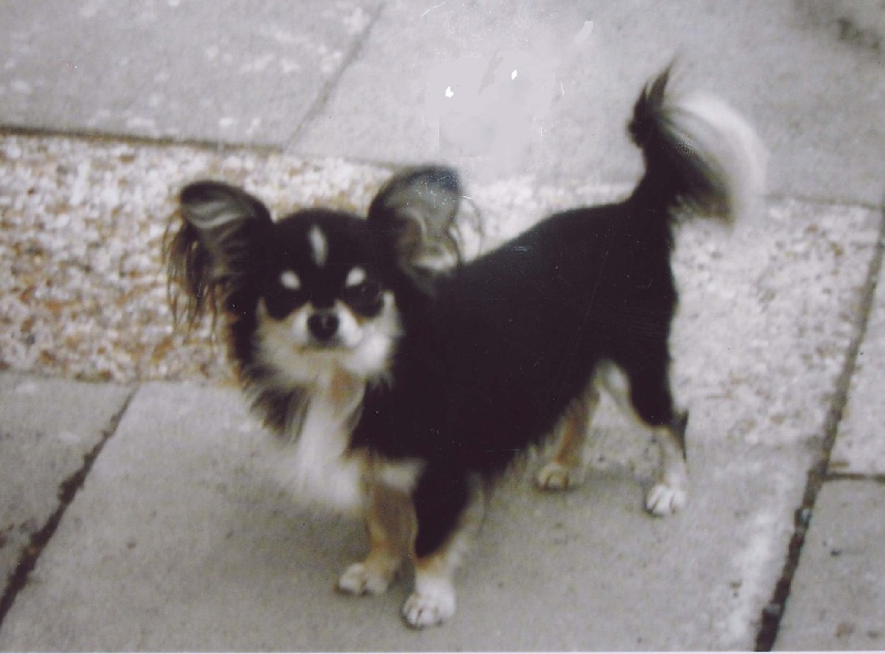 Valtat De l'archevault